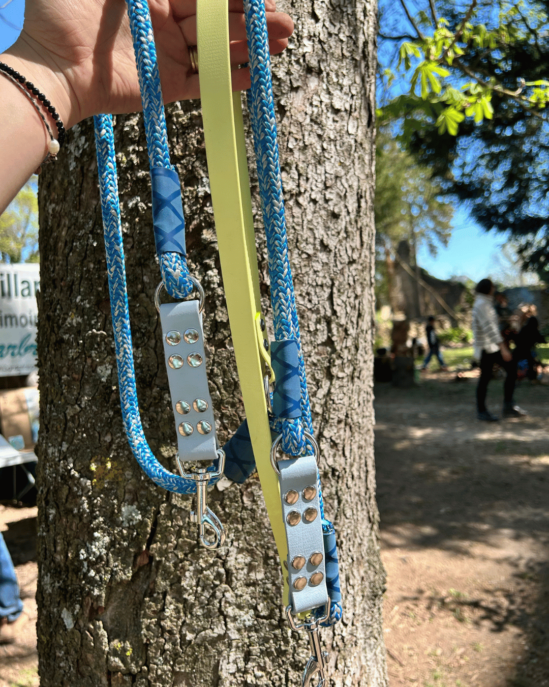 LAISSE 3 POINTS MIXTE